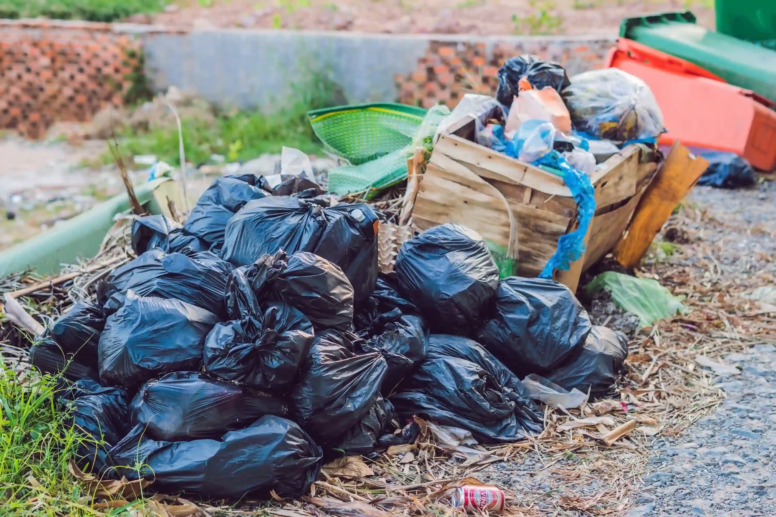 waste and garden rubbish removal service in south dublin